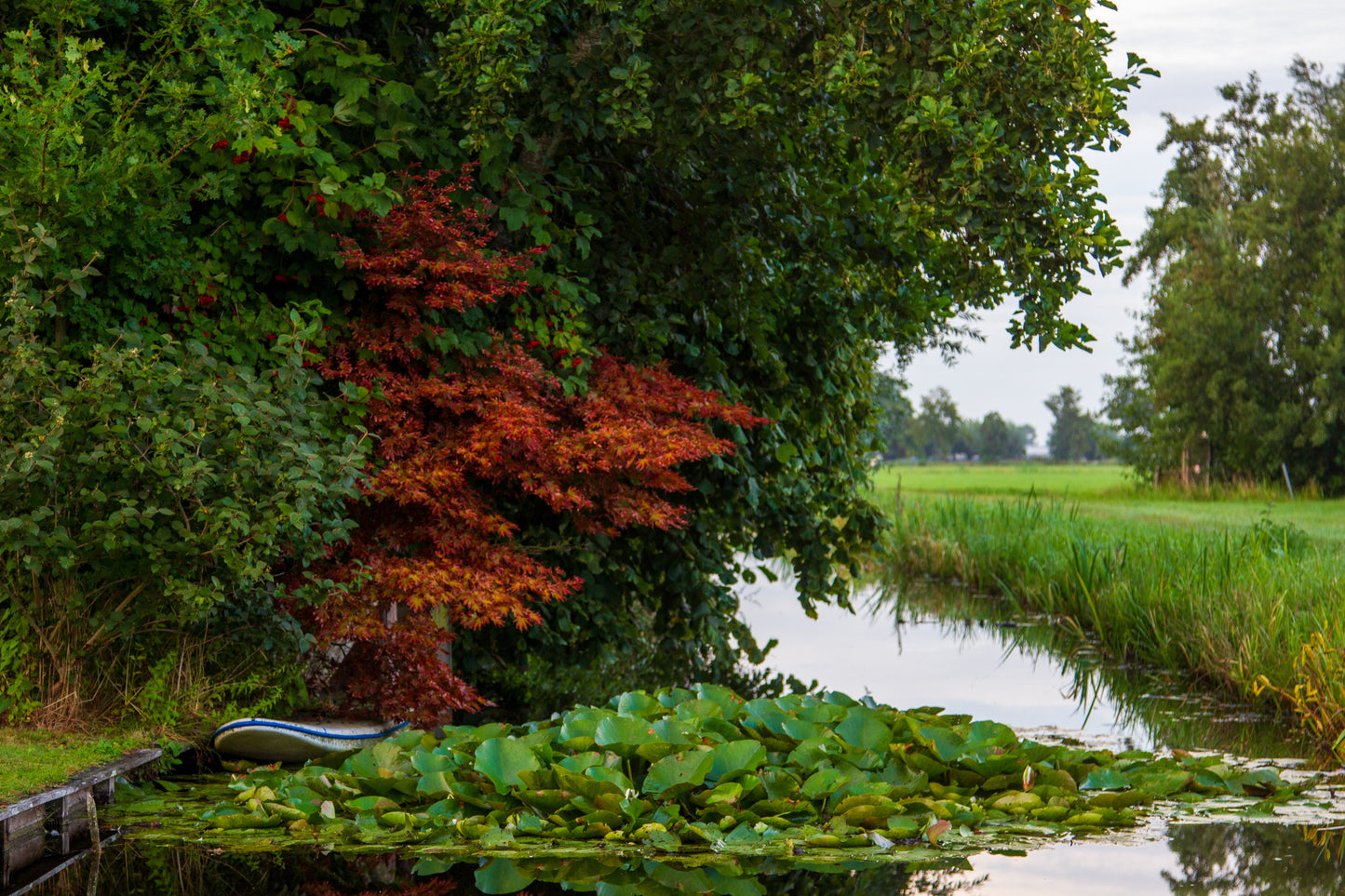 Foto's in de natuur