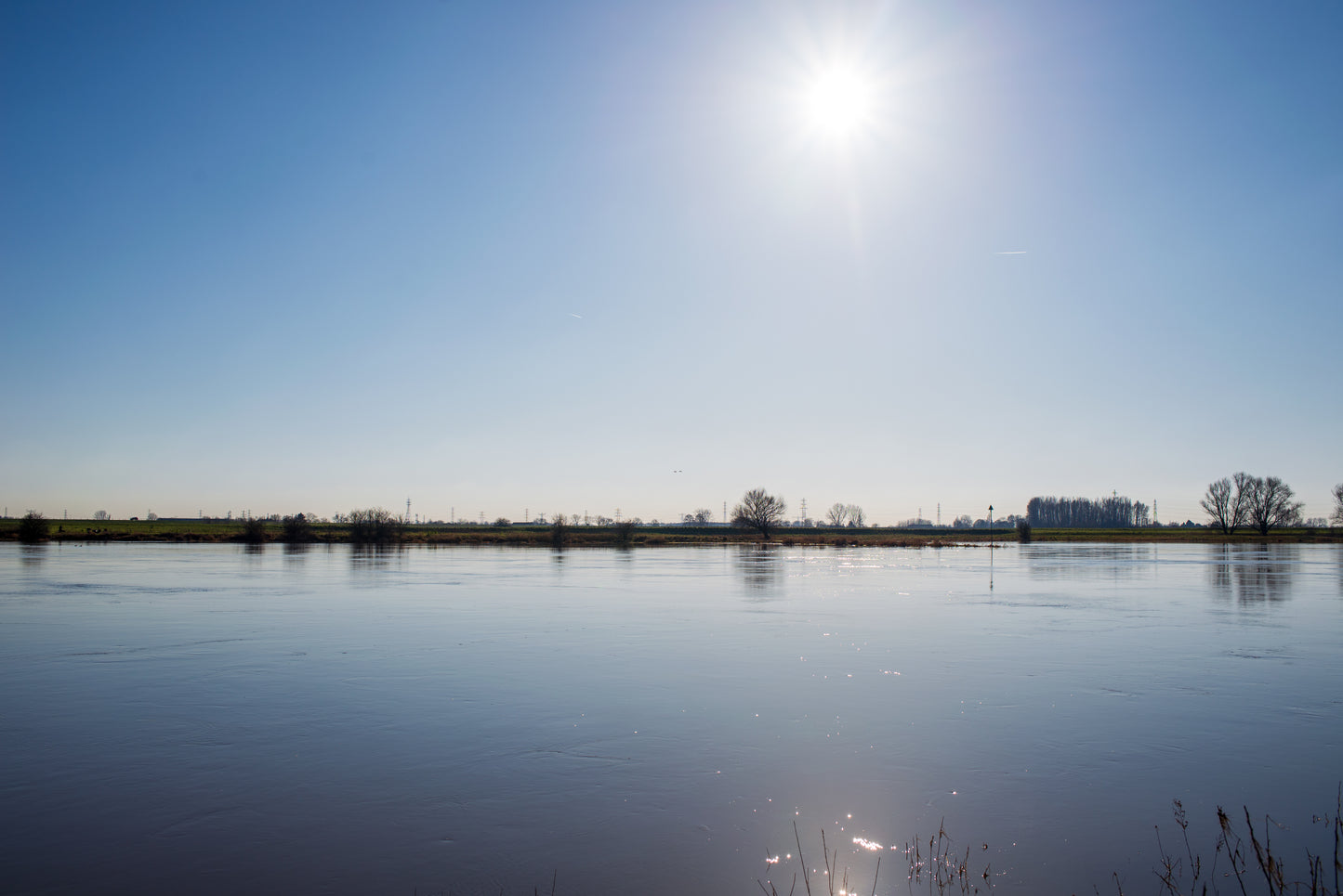 Foto's in de natuur