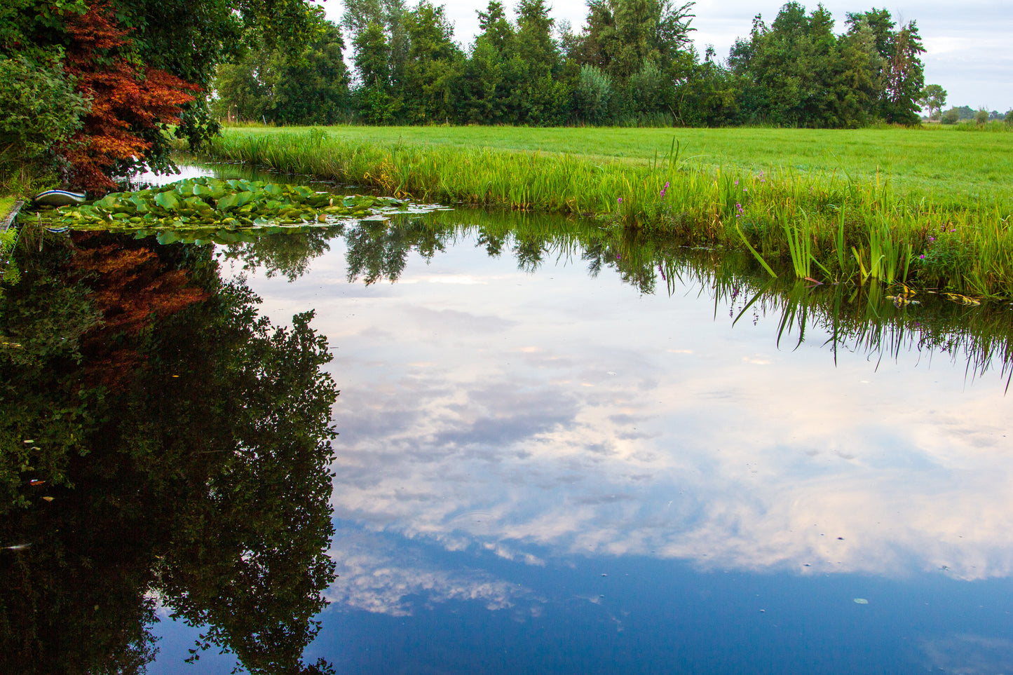 Foto's in de natuur