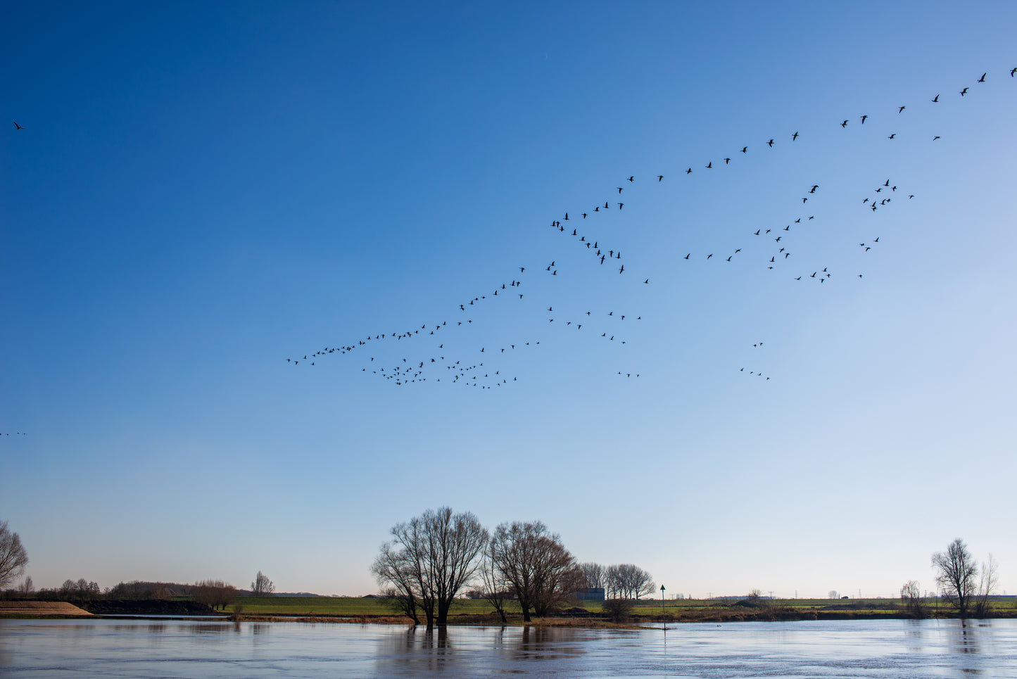 Foto's in de natuur