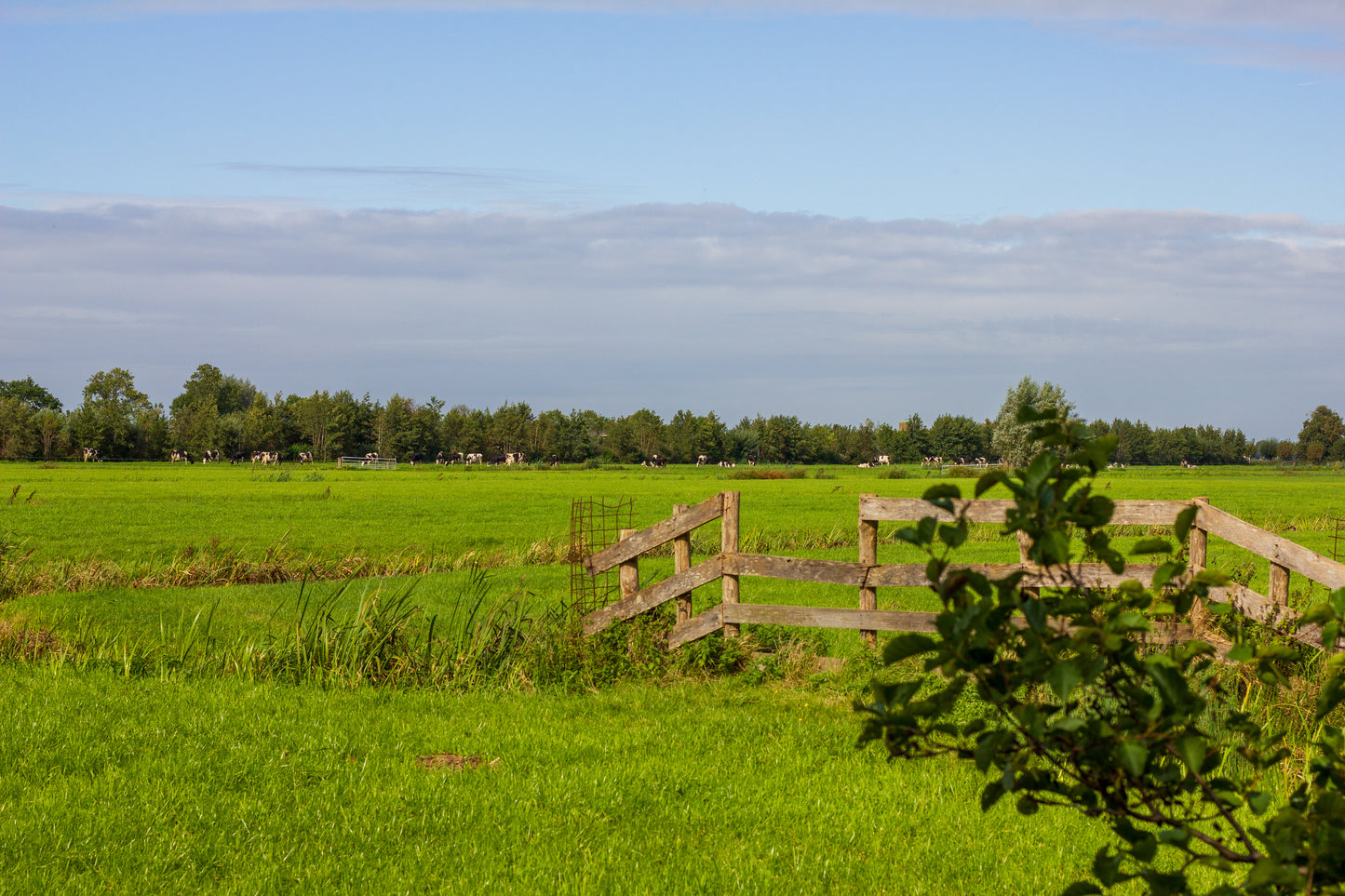 Foto's in de natuur